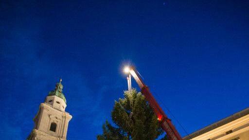 Salzburger Christbaum steht