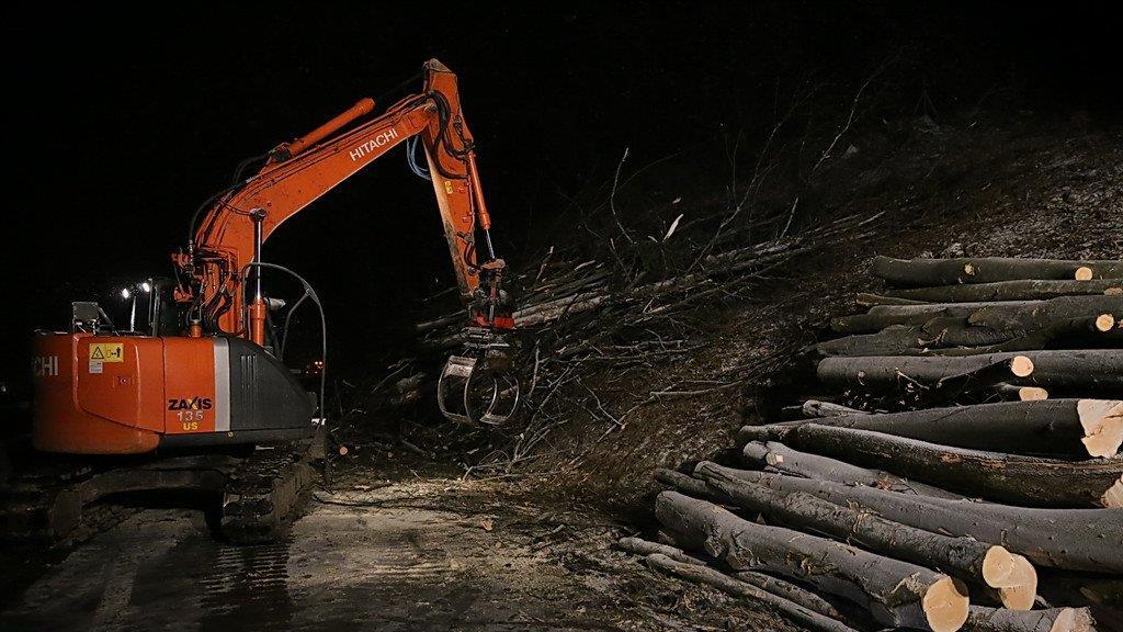 Rodungsarbeiten an der A1