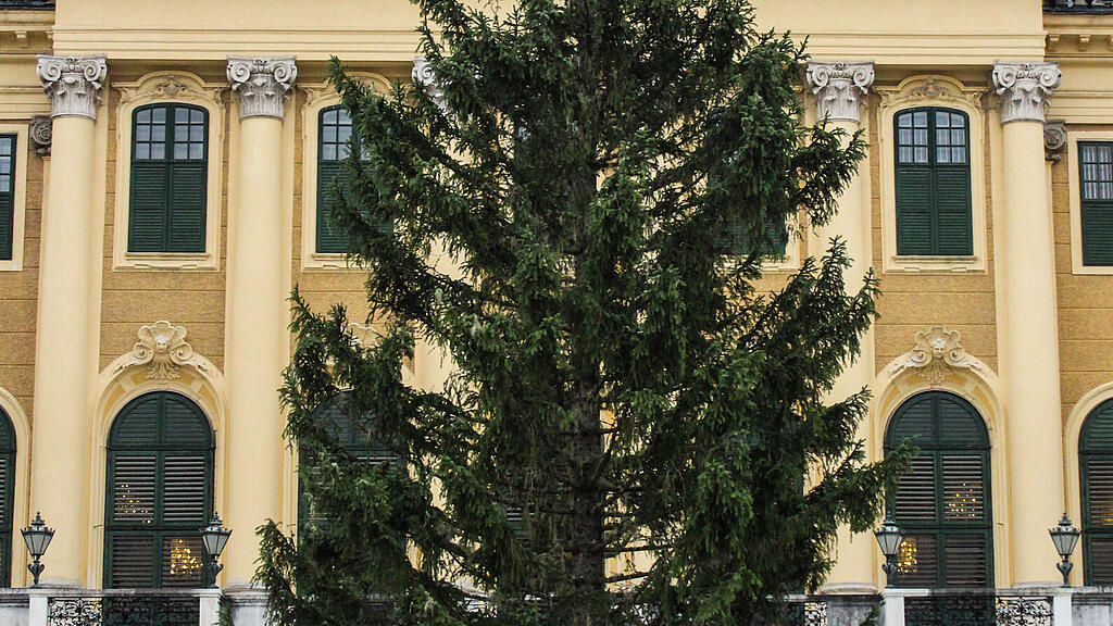 Baumaufstellung