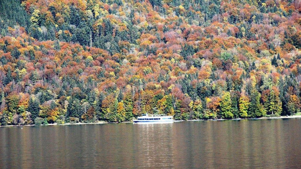 Goldener Herbst am Wolfgangsee