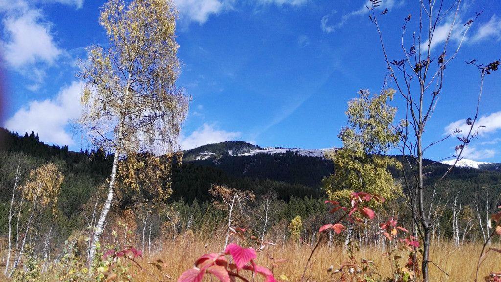 User-Bilder: Herbst in Salzburg