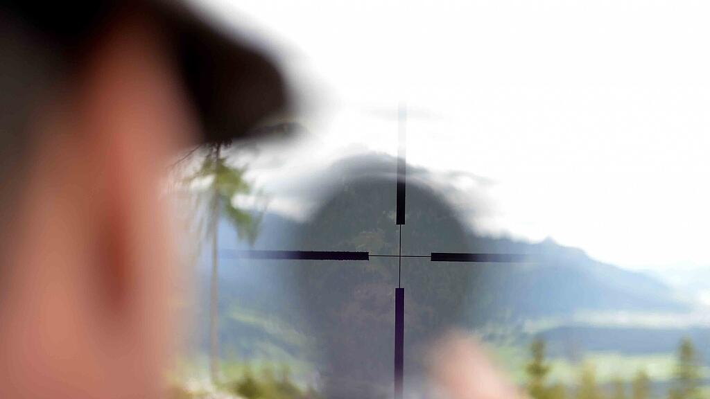 Im Fadenkreuz der Jäger sollen vermehrt Hunde und Katzen sein.