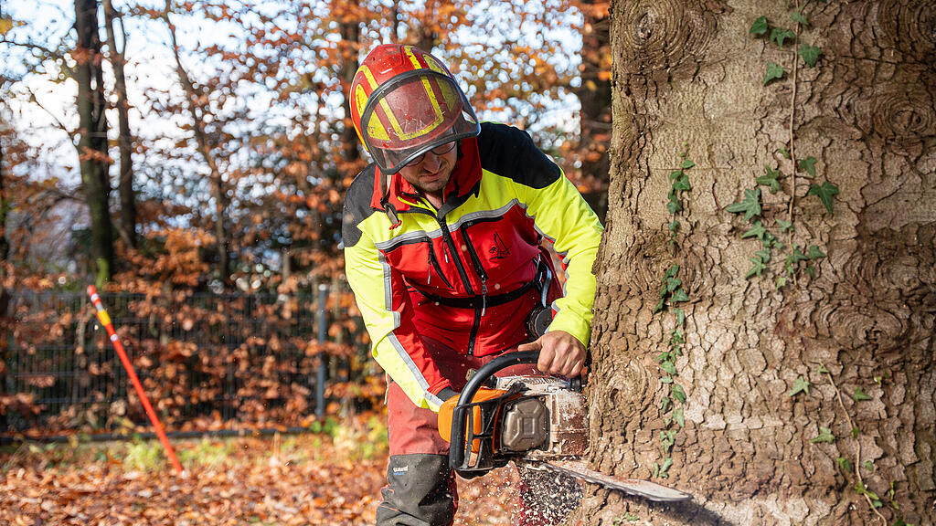 Christbaumernte in St. Jakob am Thurn