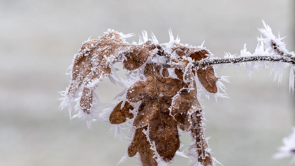 symb_Winter, symb_Frost, symb_Raureif