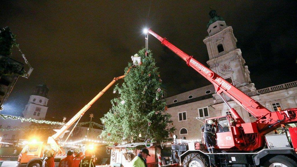 Windböe fällt Christbaum