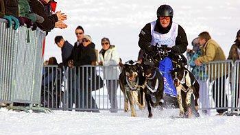 Hundeschlittenrennen in Inzell