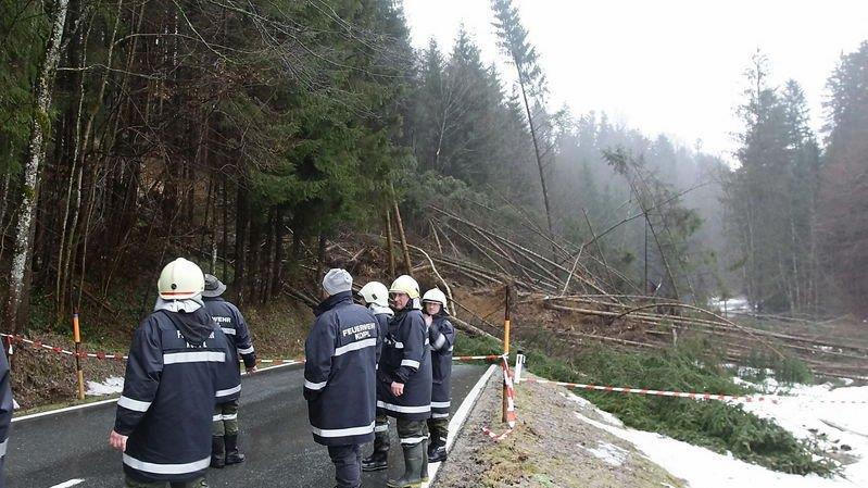 Hang rutscht auf L220