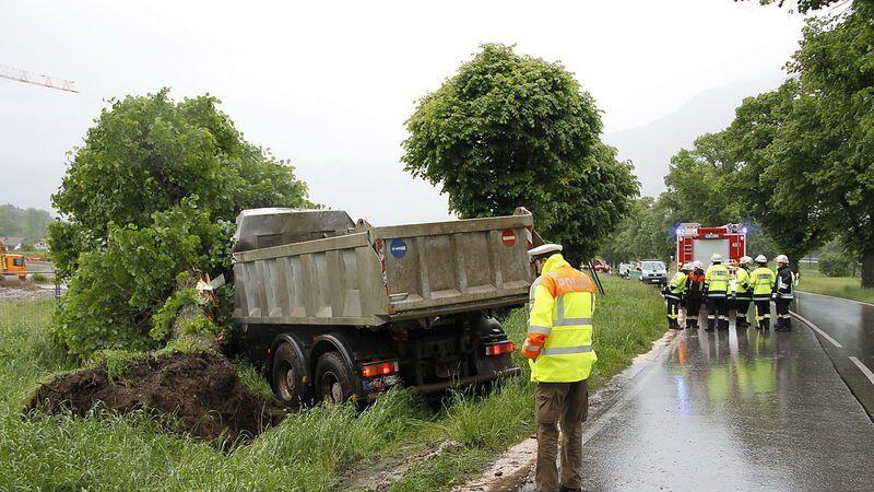 Der Lenker hatte Glück, der Baum war erst vor kurzem gepflanzt worden und war deswegen noch nicht stark verwurzelt.