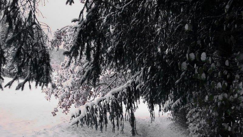 Winter in Ebenau