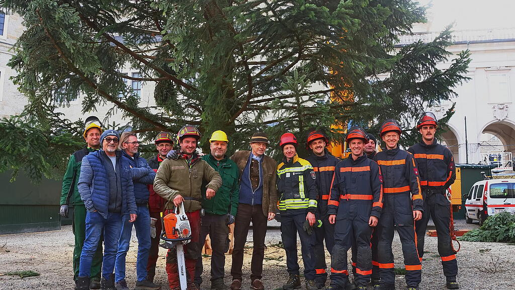 Baum am Christkindlmarkt eingetroffen II