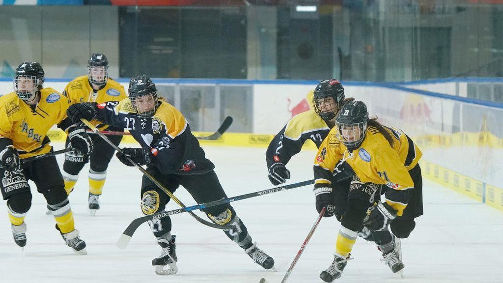 Eishockey: Eagles - Sabres