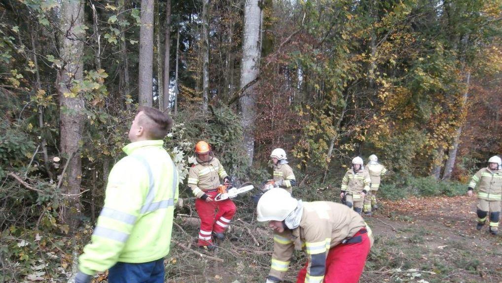 Einsätze in Seekirchen