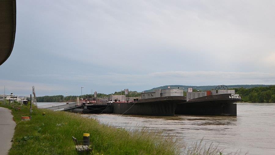 Leserreporter: Hochwasser in Wien-Döbling (Donau bei Nussdorf)