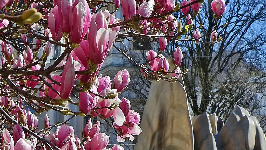20190429fmt_makartplatz_ta_011.JPG