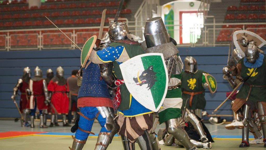 Battle of Nations: Qualifikation in Salzburg