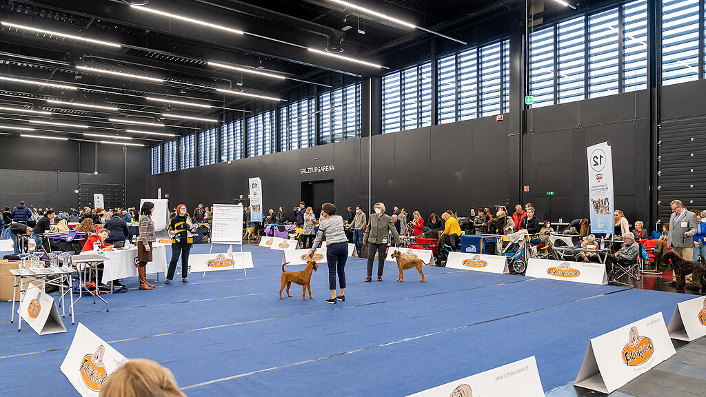 Internationale Hundeausstellung Salzburg 2022