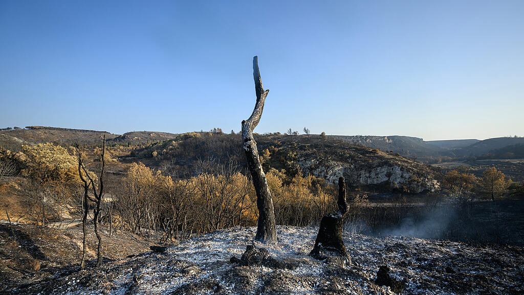 17.000 Hektar Land bei Waldbrand in Frankreich zerstört
