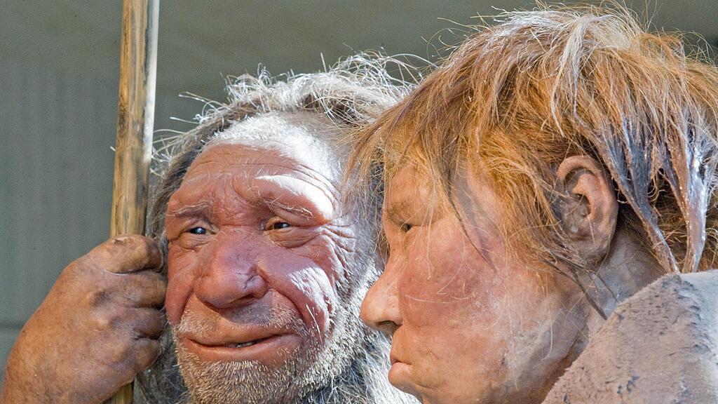 Rekonstruktion eines Neandertaler-Paares im Neandertal-Museum im deutschen Mettmann.
