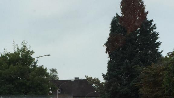 Polizeieinsatz in Bregenz