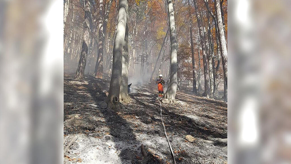 Flughelfer aus Salzburg bei Waldbrand in NÖ