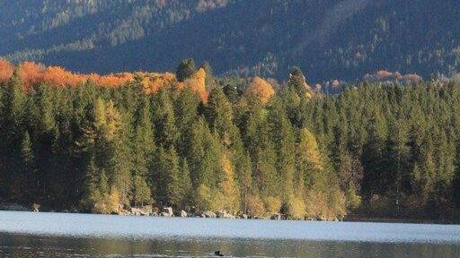 Goldener Herbst in Bayern