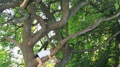 Picknick im Park