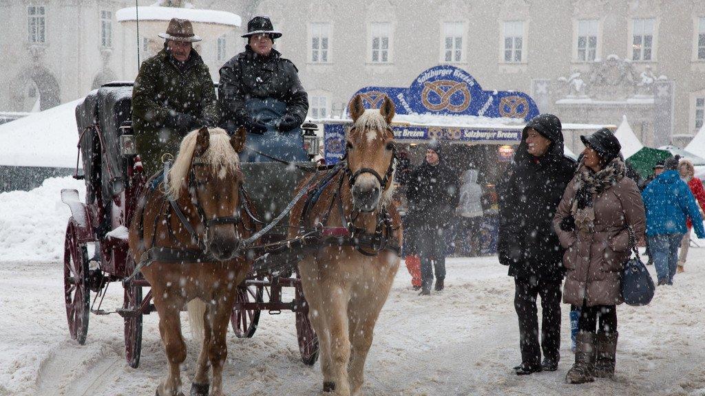 Winterimpressionen aus der Stadt Salzburg