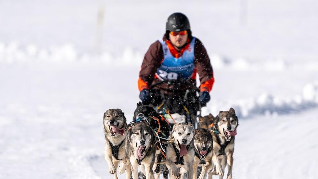 Schlittenhunde-WM in Sportgastein, Samstag