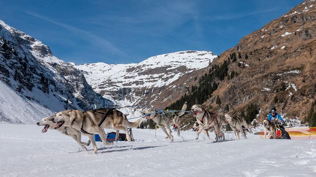 Schlittenhunderennen in Sportgastein