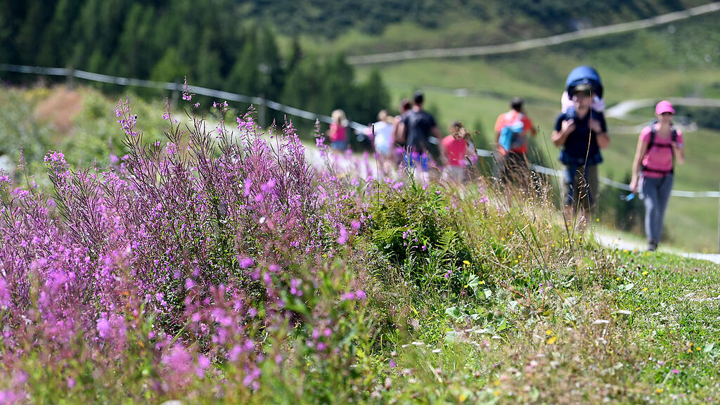 symb_wandern symb_salzburg