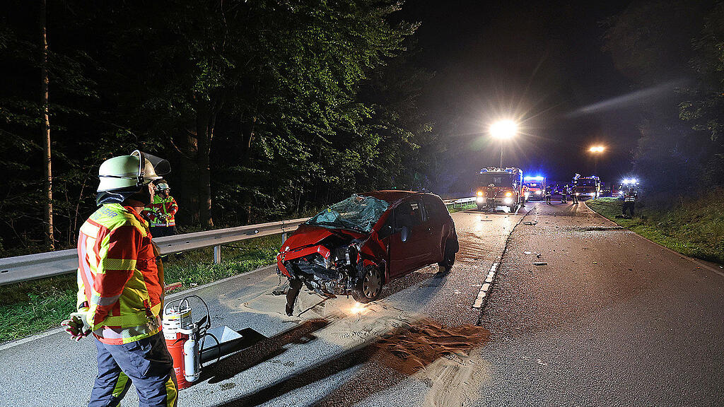 Reh_Unfall_Piding