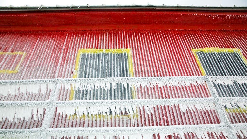 Kältewelle: USA tiefgefroren