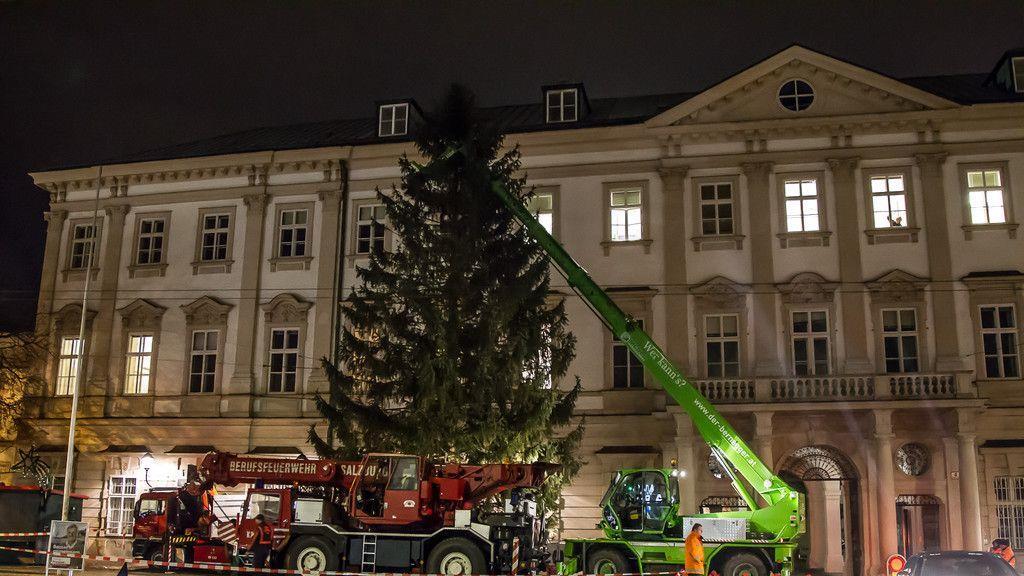 Christbaumaufstellen vor dem Schloss Mirabell