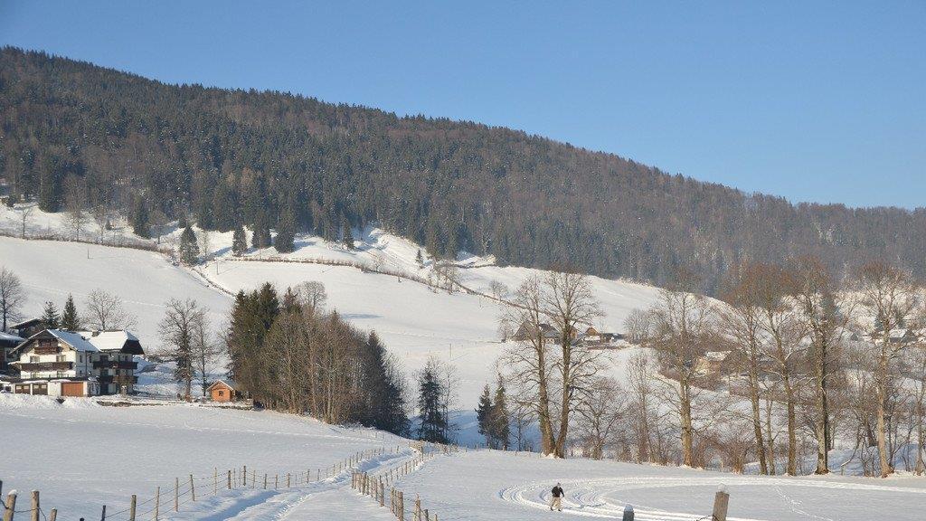 Winterspaziergang am Gaisberg