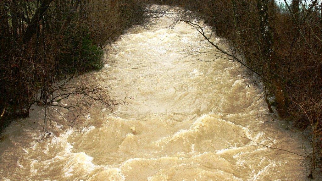 Hochwasser im Attergau