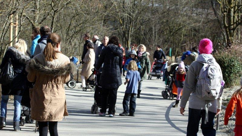 Frühling im Zoo München