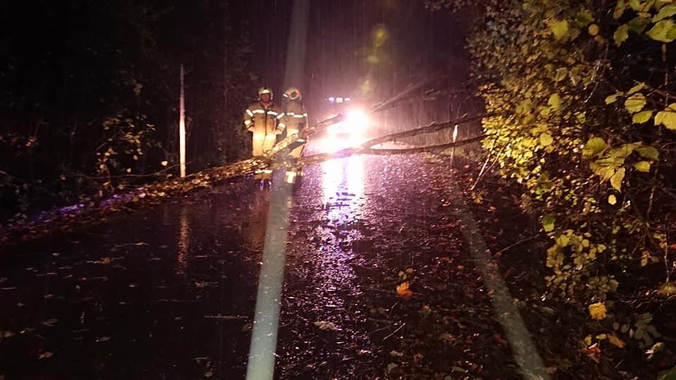 Feuerwehr Thalgau im Einsatz