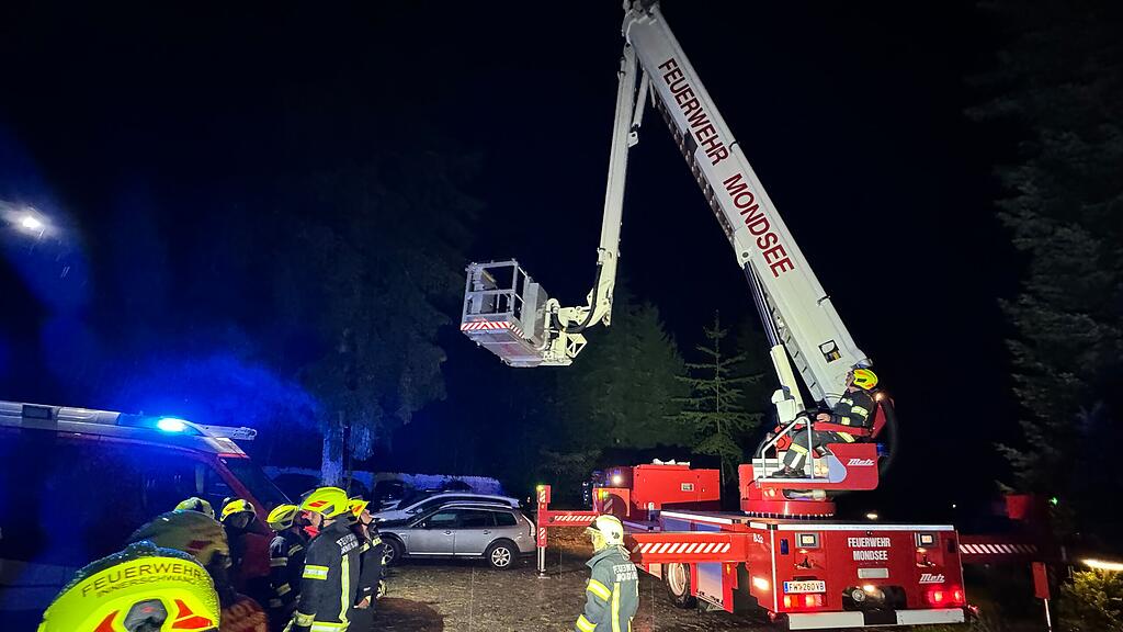 Umgest\u00fcrzter Baum in Mondsee