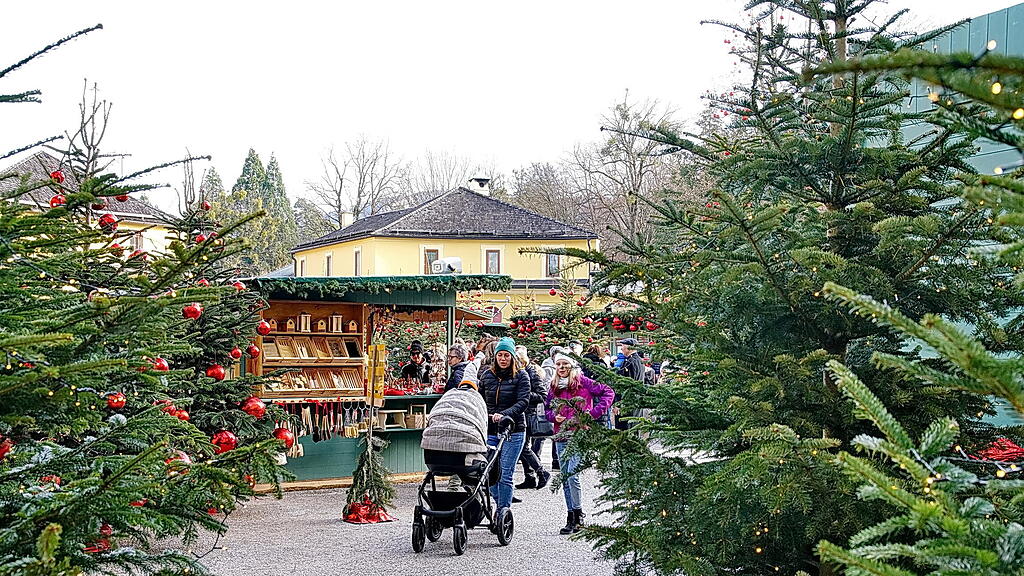 Tag der Krampusse in Hellbrunn