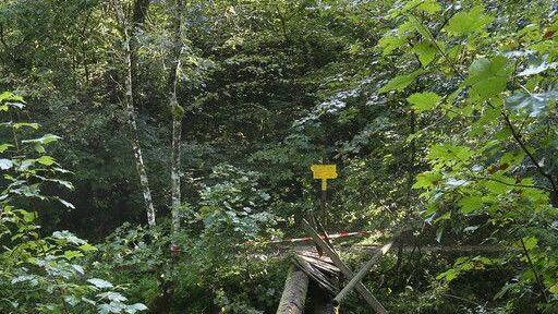 Brücke in Schneizlreuth eingestürzt