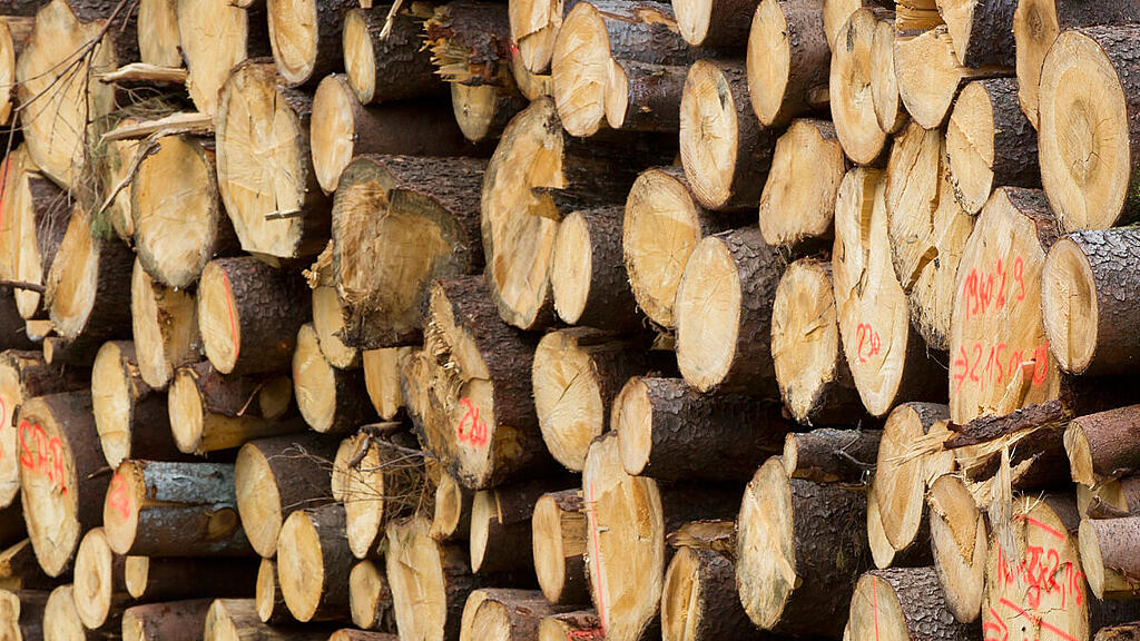 Rumänische Wettbewerbsbehörde schloss Vergleich mit Austro-Holzriesen