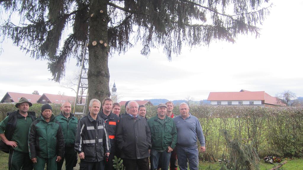 Christian Schmidt (Berufsfeuerwehr Salzburg), Eugendorfs Bürgermeister Johann Strasser, Obergärtner Christian Roider (Stadtgartenamt), Kranfahrer Hansi Fink (Fa. Rachbauer) mit Mitarbeitern der Berufsfeuerwehr und des Stadtgartenamtes vor dem zukünftigen Christbaum.