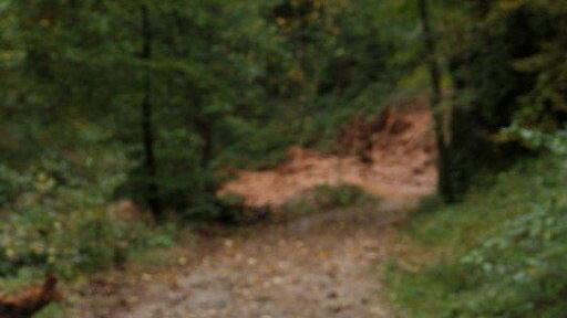 Glasenbach Klamm gesperrt