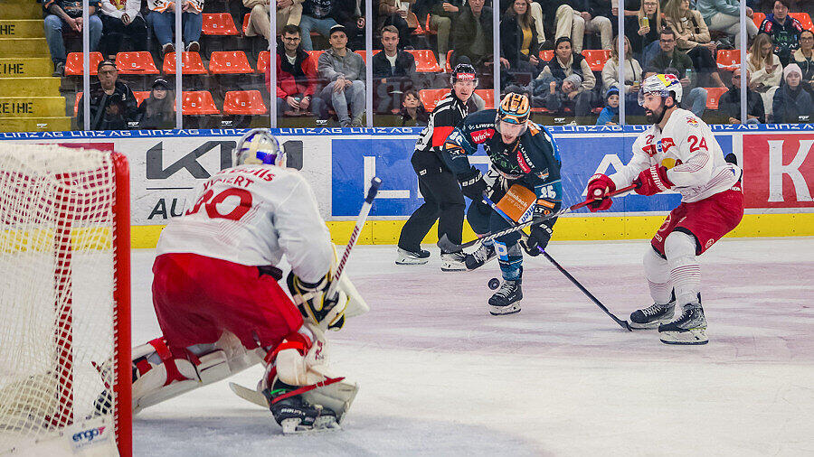 Black Wings Linz - Red Bull Salzburg