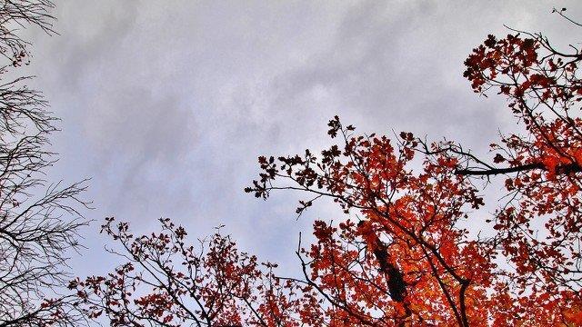 Goldener Oktober in Salzburg