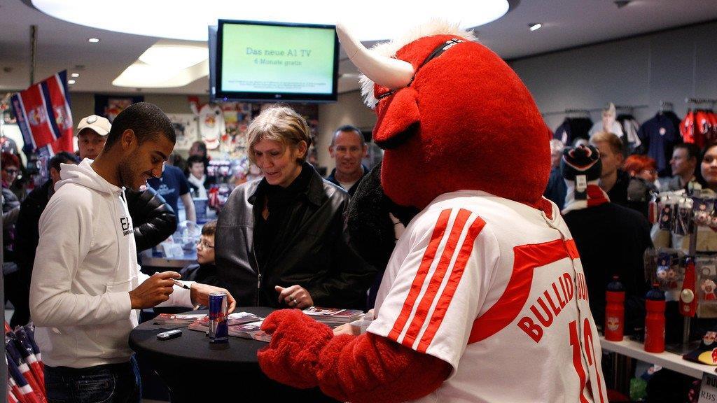Nachtführung in der Bullen-Arena