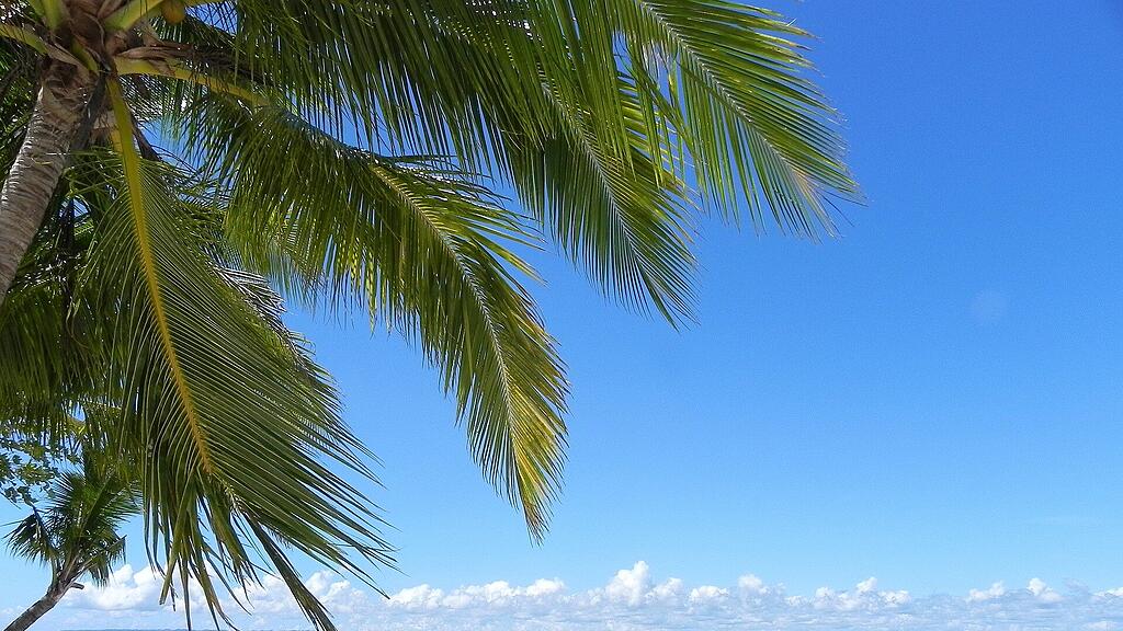 Philippinen, Sandstrand, Strand, Insel, Urlaub, Palmen, SB