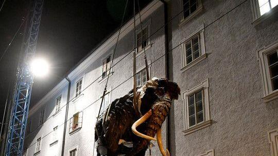 Mammut schwebt über Salzburg I