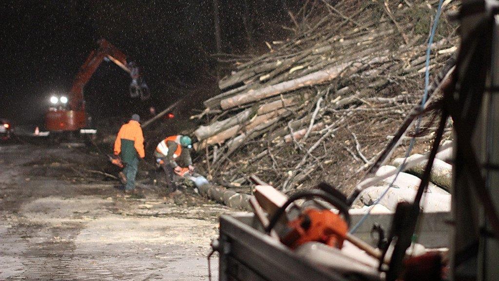 Rodungsarbeiten an der A1