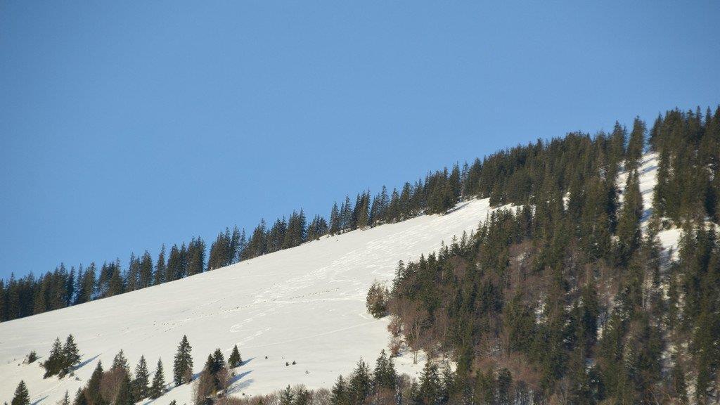 Skifahren in Gaißau